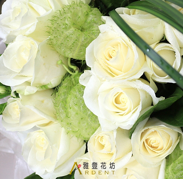 傾訴愛情玫瑰情人花束