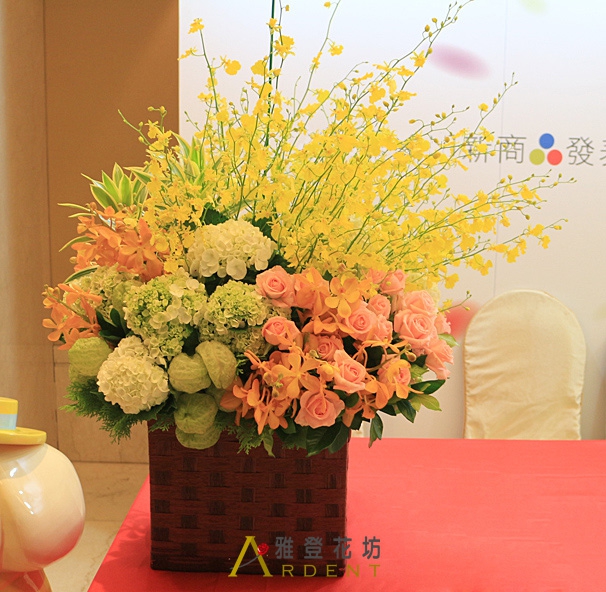黃金滿滿的祝福盆花