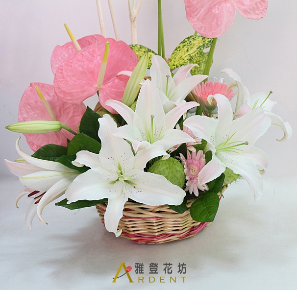 粉色溫柔首選花禮