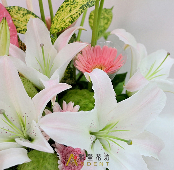 粉色溫柔首選花禮