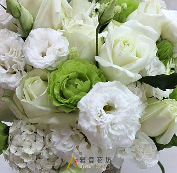 台北市情人生日玫瑰盆花