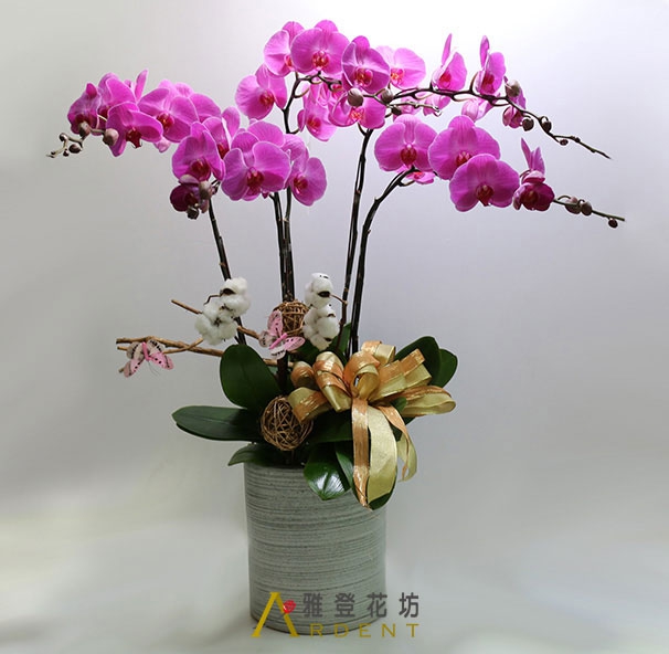 新居榮陞開幕桌上蝴蝶蘭